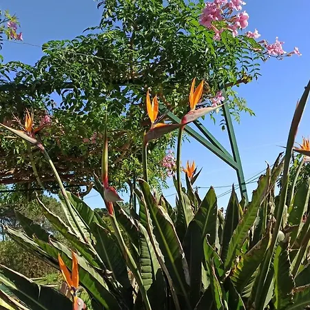 Holiday home Casa Verde, Arrifana Surf Aljezur
